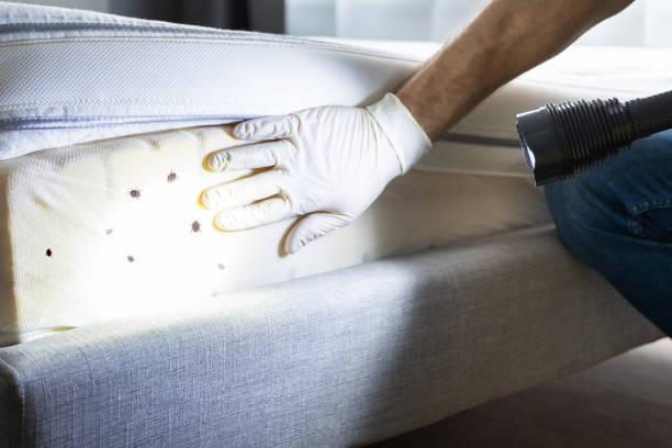 Best Exterminator Services  in Holualoa, HI