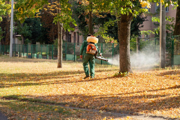 Reliable Holualoa, HI Pest Control Solutions