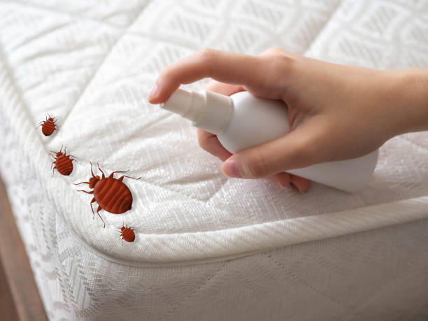Best Cockroach Control Services  in Holualoa, HI