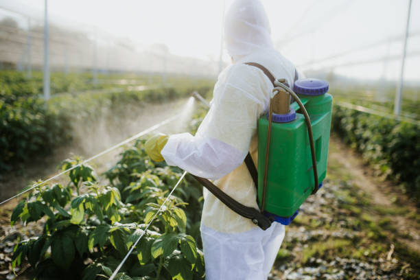 Best Mosquito Control Services  in Holualoa, HI